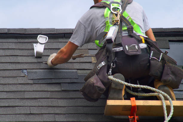 Best Roof Gutter Cleaning  in St Francis, WI