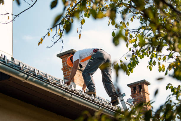 Roof Gutter Cleaning in St Francis, WI
